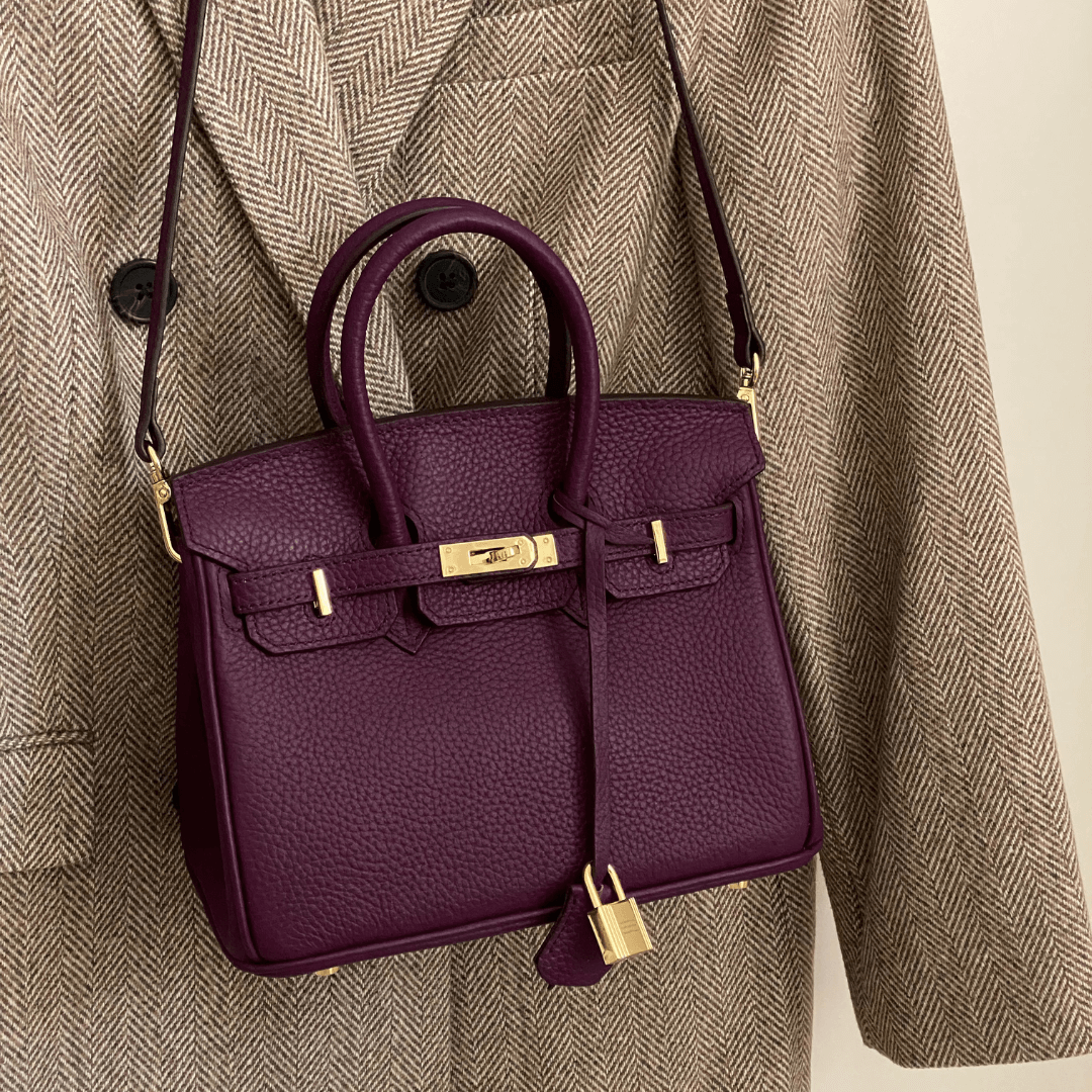 Chic Sac à Main en Cuir pour Femmes