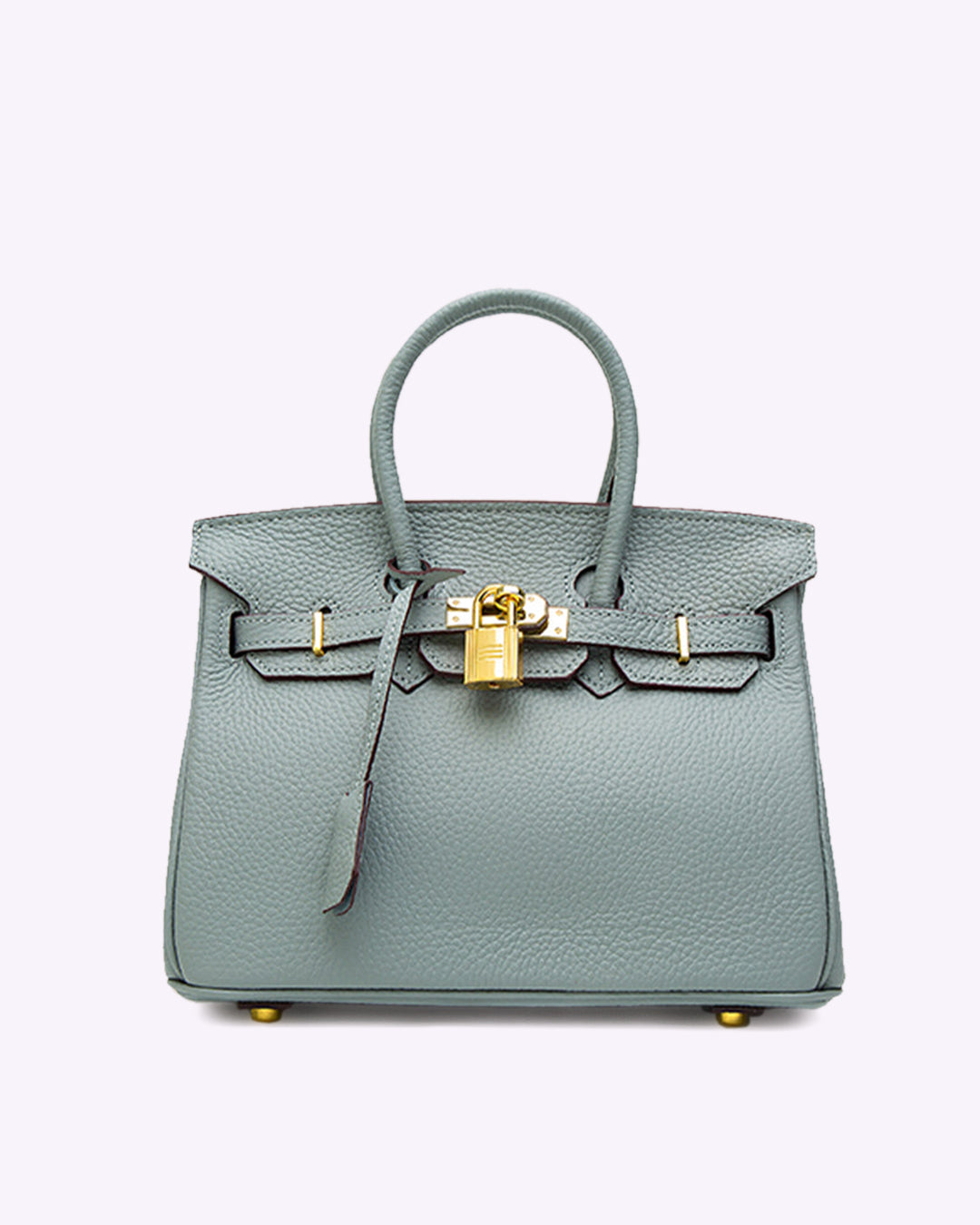 Chic Sac à Main en Cuir pour Femmes