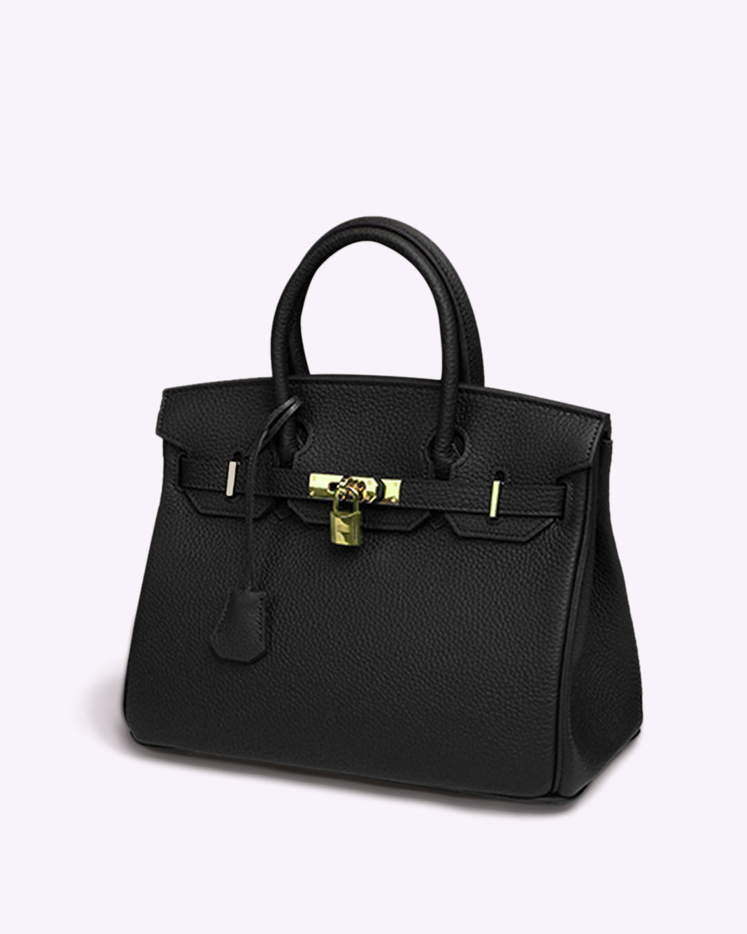Chic Sac à Main en Cuir pour Femmes