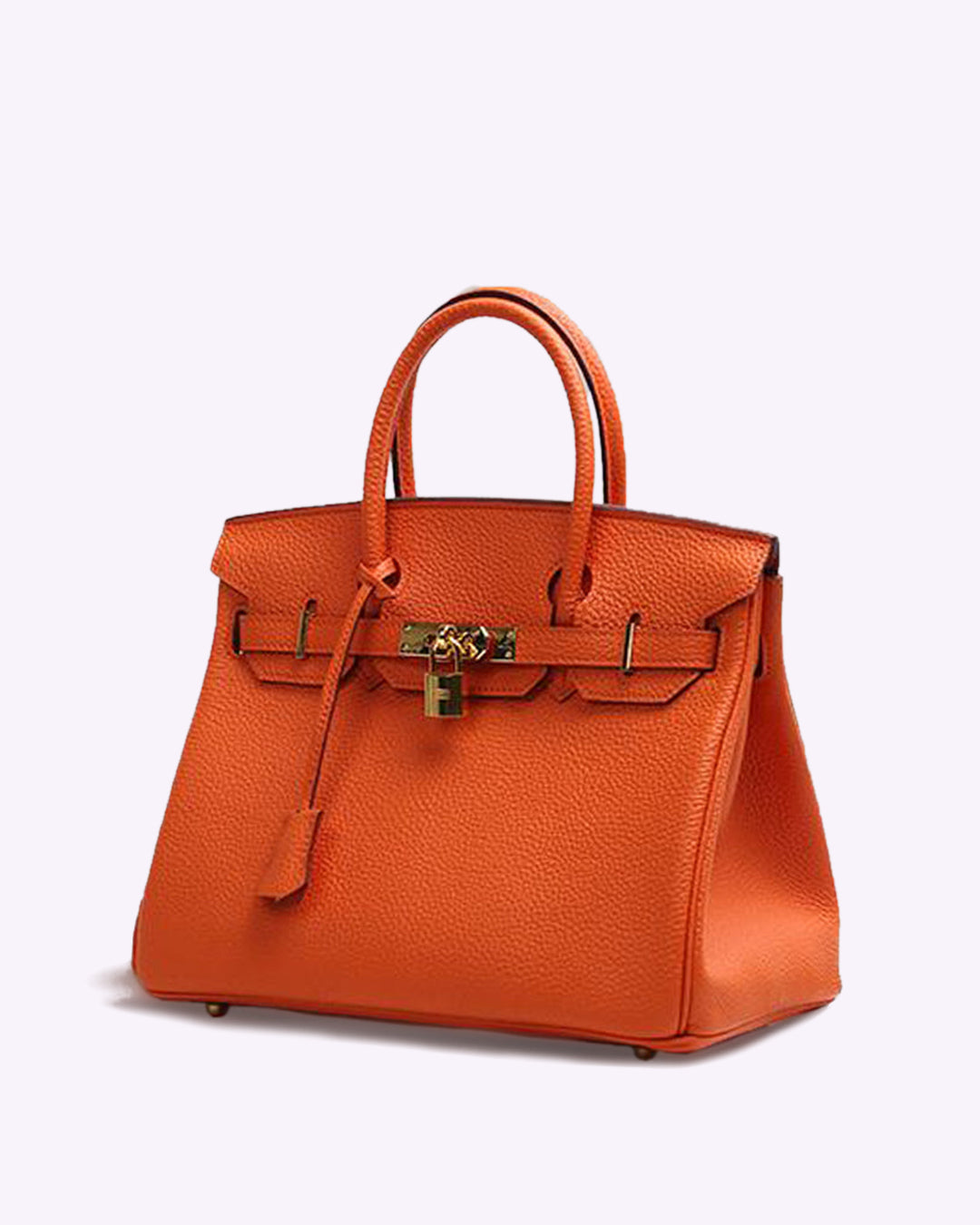 Chic Sac à Main en Cuir pour Femmes