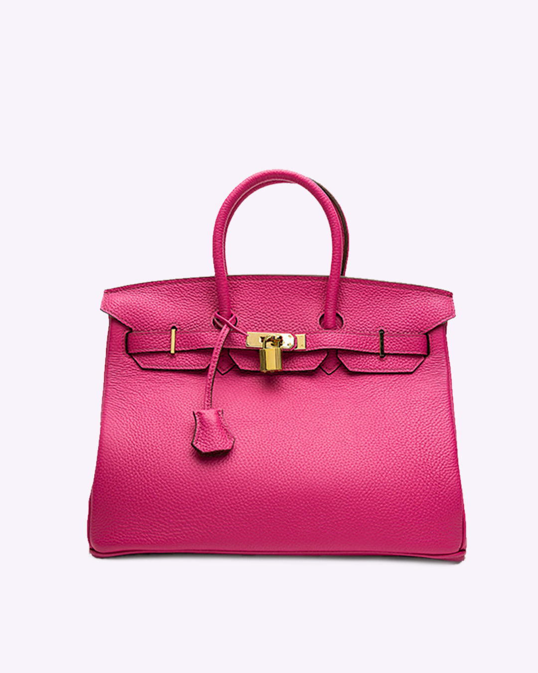 Chic Sac à Main en Cuir pour Femmes