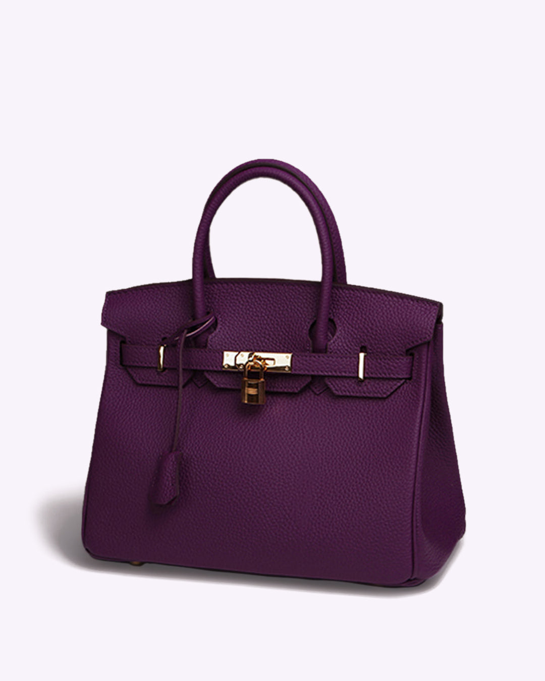 Chic Sac à Main en Cuir pour Femmes
