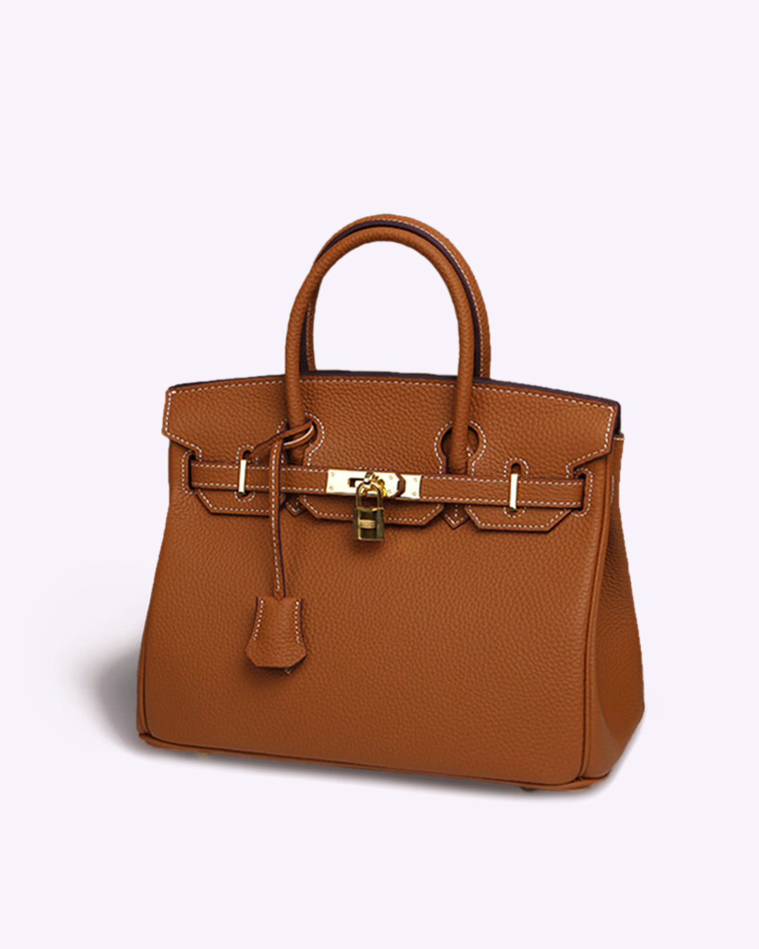Chic Sac à Main en Cuir pour Femmes