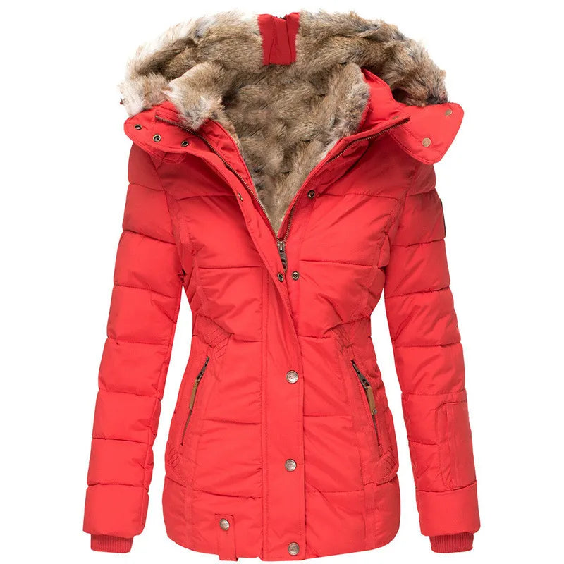 Veste d'Hiver Élégante avec Col Fourrure pour Femmes