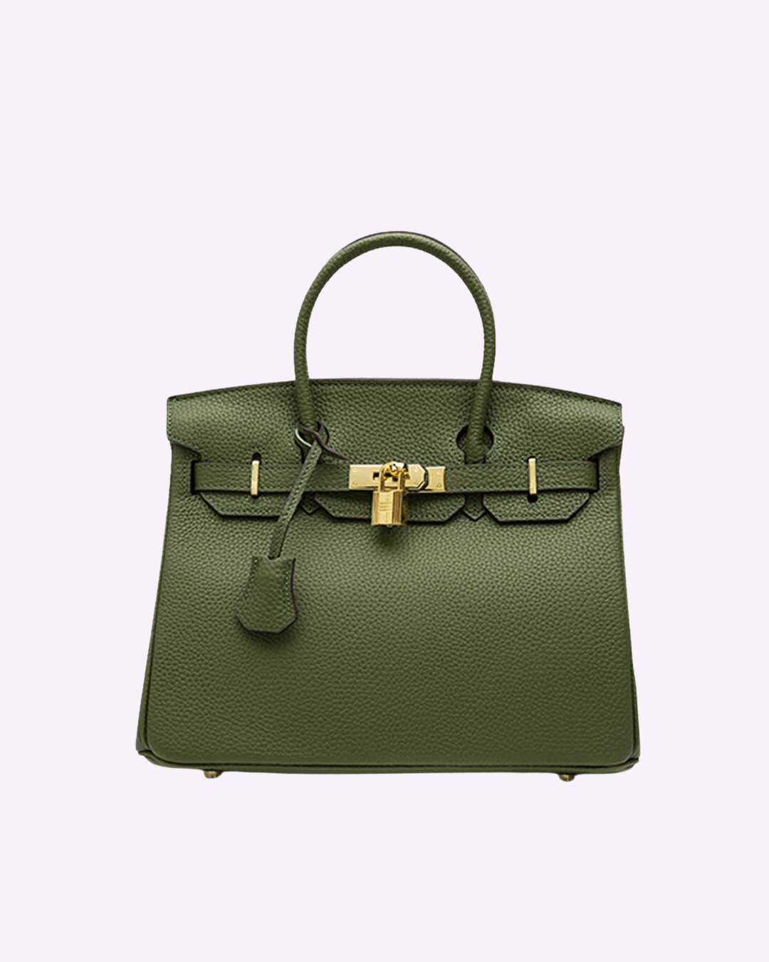 Chic Sac à Main en Cuir pour Femmes