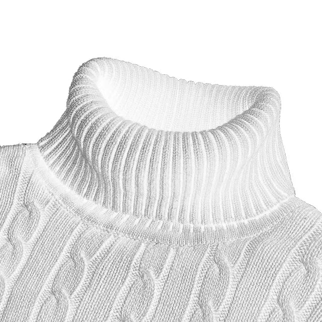 Pull en Maille Douce à Col Roulé pour Hommes - Marie Montel